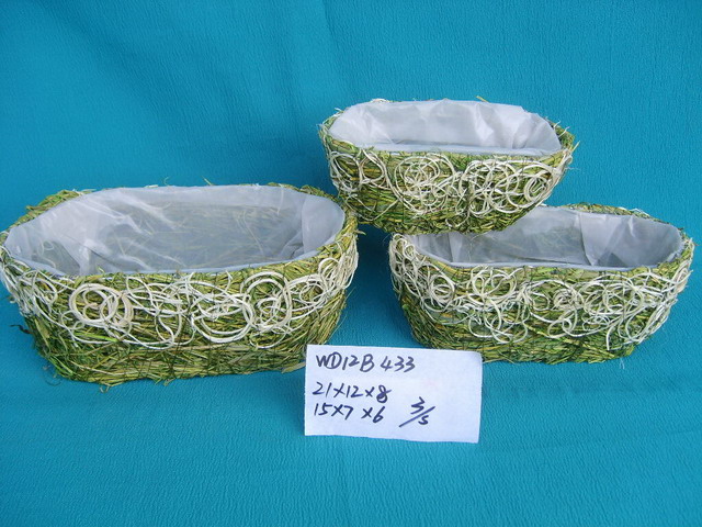 Moss Flower Pot760