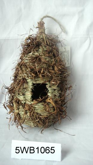 bird nest6