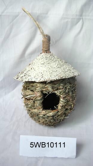 bird nest51